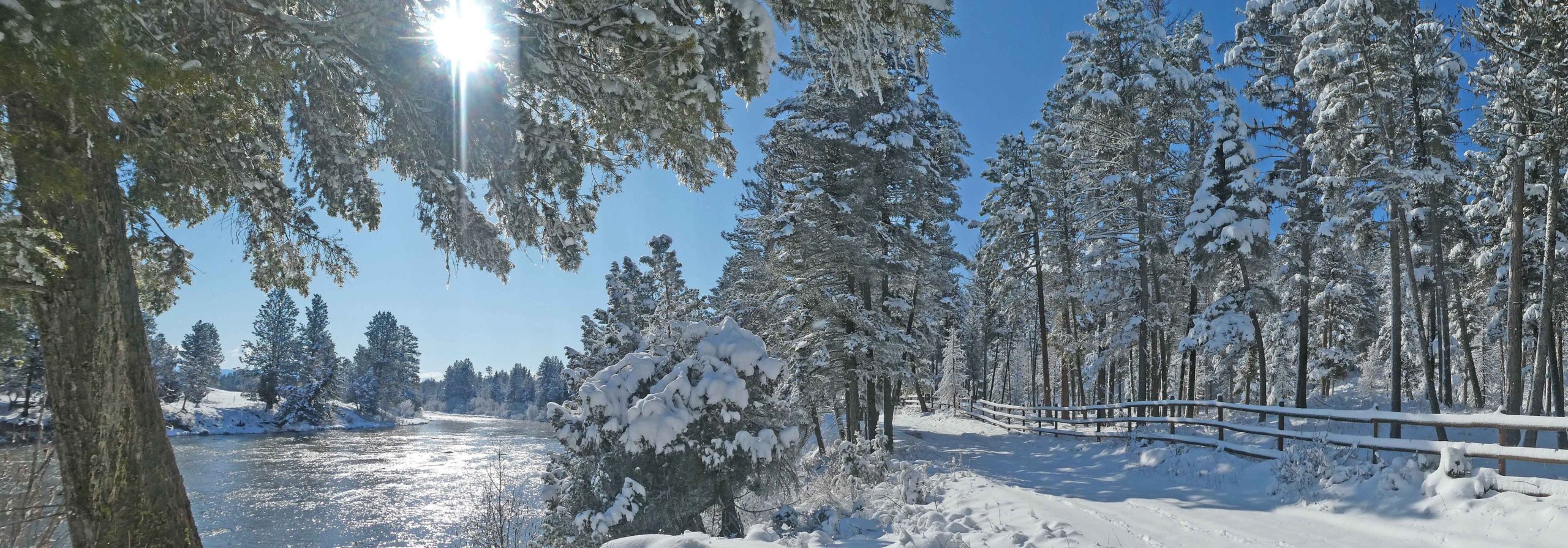 Leigh, Robert and Ryan share their “why?”