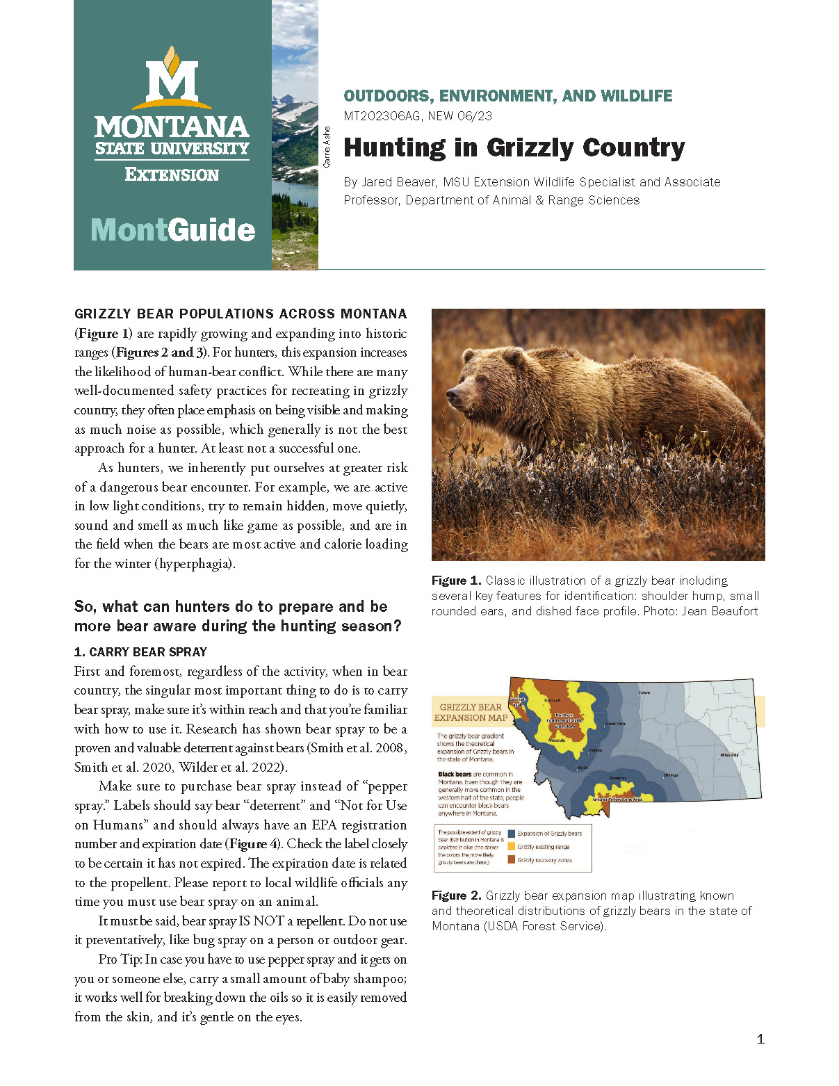 Hunting in Grizzly Country