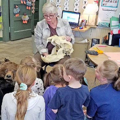 Bears visiting the classroom