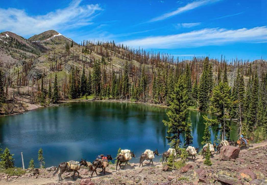 On Horseback in Bear Country