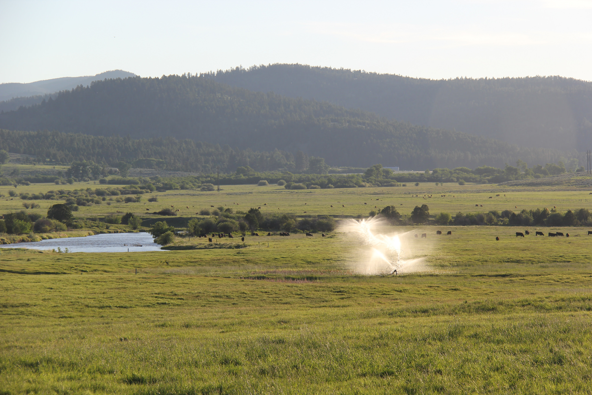 Winter Drought Resilience Webinar Series