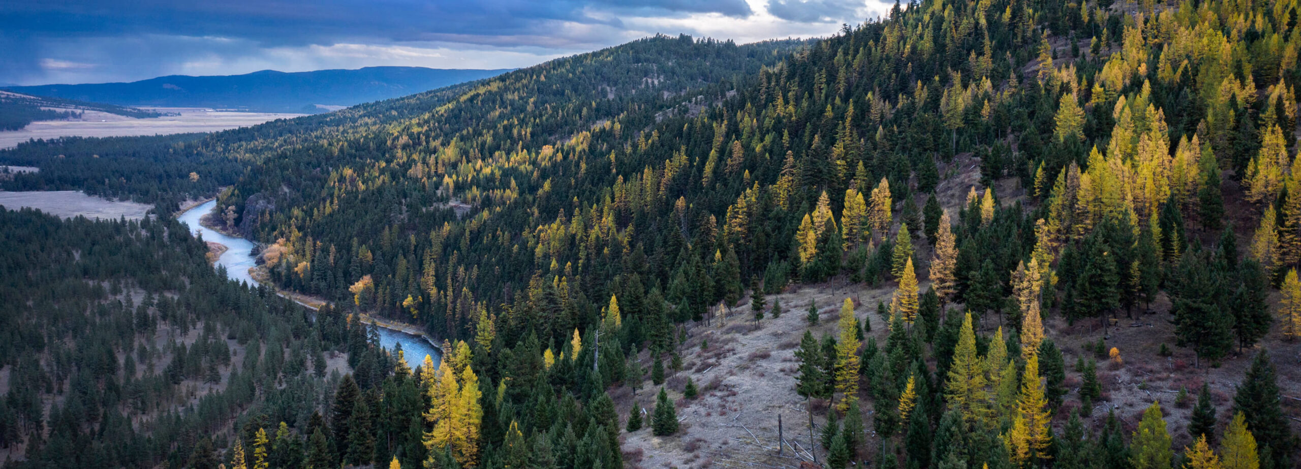 Featured image for this page