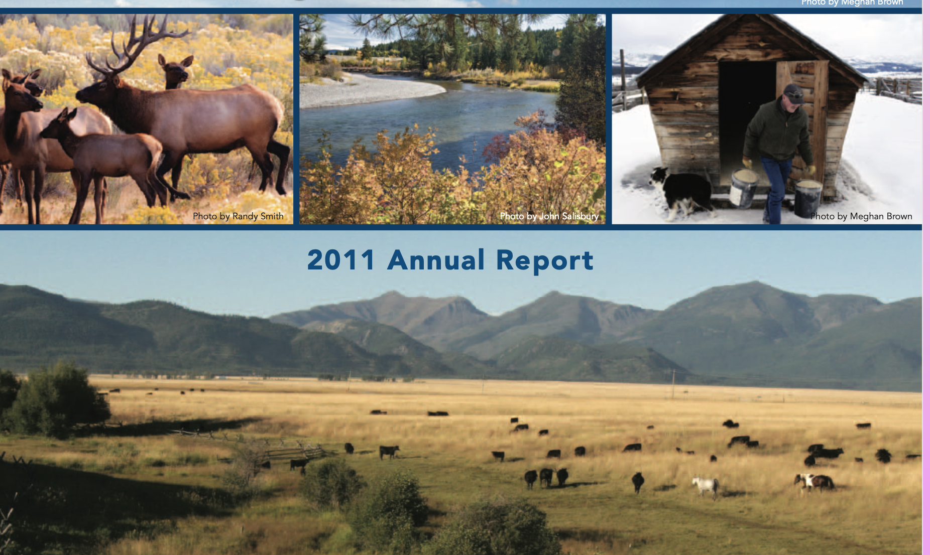 2011 Annual Report