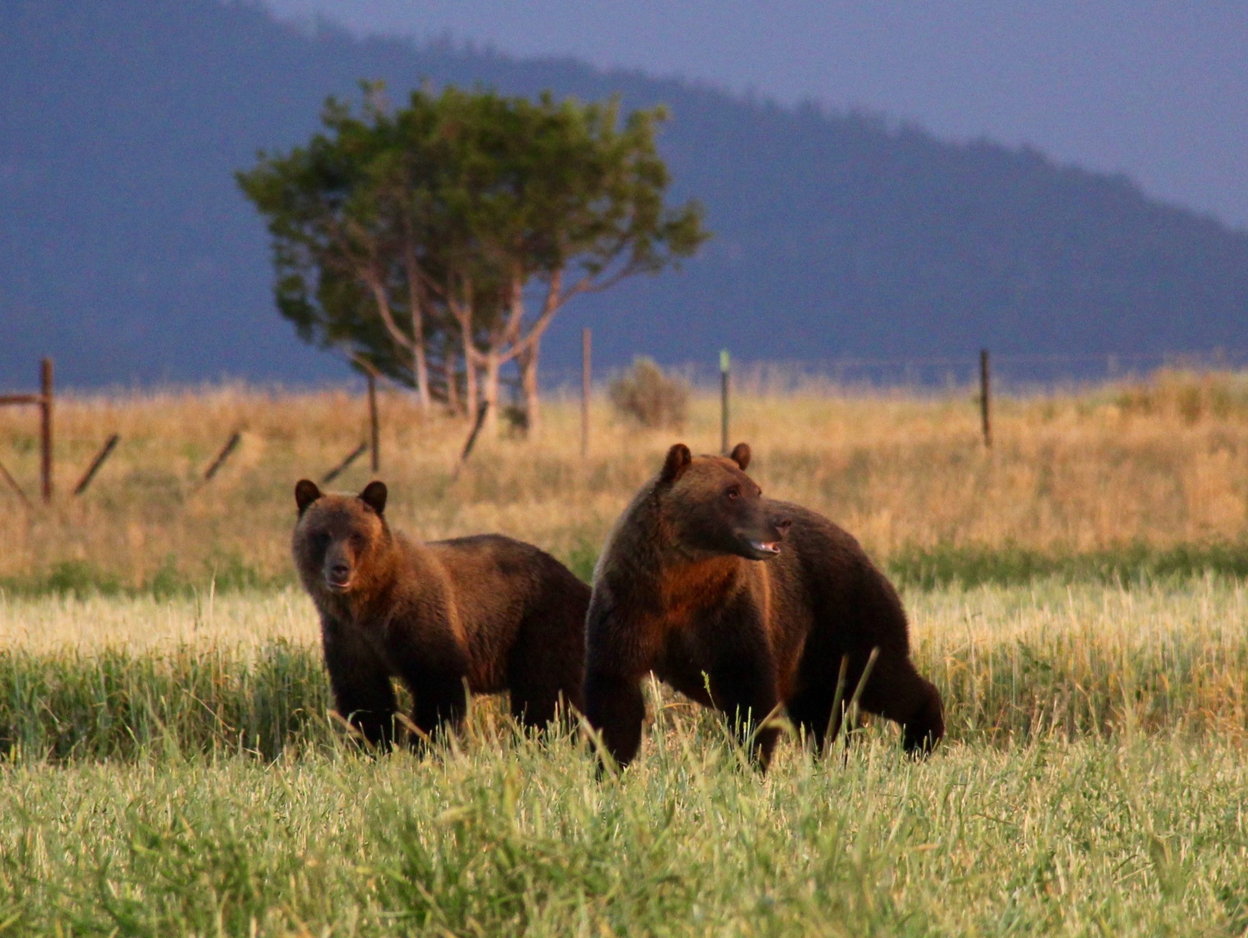 Spring & Summer 2025 News