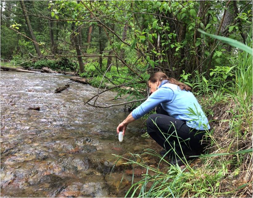 A volunteer collects water quality samples. Photo by Caitlin Mitchell.